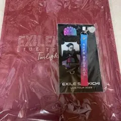 EXILE SHOKICHI LIVETOUR 2023 BRAIN フォンタブ