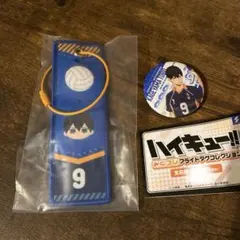 フライトタグコレクション　ハイキュー　影山飛雄　ガチャ　キーホルダー