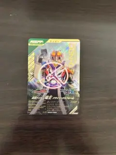 デスガイザー LR トレーディングカード