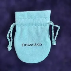 Item thumbnail for item 6a89f98e-e836-425e-b13a-e9078e8ea490