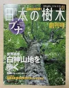 Item thumbnail for item 7556cd72-7a48-4dd1-b01e-8d7062a65f29