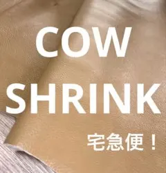 Item thumbnail for item 62870fb0-93d2-4163-a110-cb23800b1c3f