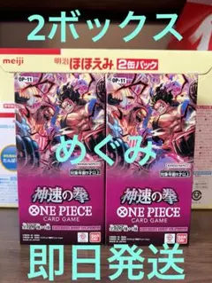 ワンピースカードゲーム　神速の拳　2BOX