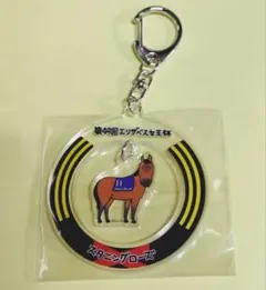 JRA welcomeチャンス スタ二ングローズ エリザベス女王杯