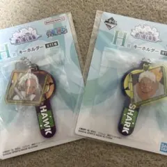 一番くじ ワンピース 思い描く未来　H賞