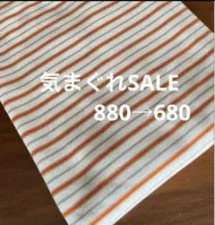 ☆★気まぐれSALE☆★ テレコニット　ニット生地　綿100%