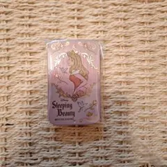 ディズニープリンセス　すらいどきゃん　オーロラ姫