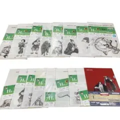 ONE PIECE1番くじクリアファイル/おまとめ販売/合計17枚