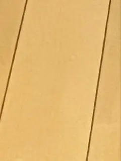 Item thumbnail for item e44cd00c-9254-4f36-9369-0599bfc35651