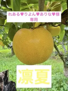 ⚠️れある♥りよん♥ありな♥⚠️ 茨城県産　梨/凛夏　家庭用 ⚠️れある♥りよん♥ありな♥様専用⚠️ 茨城県産 梨/凛夏 家庭用