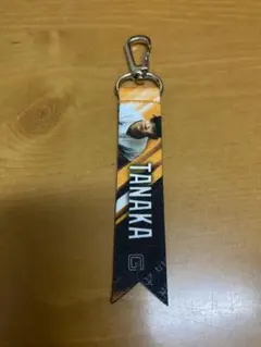 田中選手 GIANTS ミニボンフィン　11