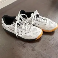 Mizuno cyclone speed 4 バレーボールシューズ 23cm
