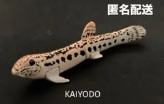 チョコQ 日本の動物第11弾 シークレット．オオアタマガメb【海洋堂