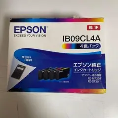 純正 EPSON インクカートリッジ IB10CL4A - メルカリ