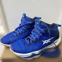 ASICS NOVA SURGE 2バスケットボールシューズ　26cm