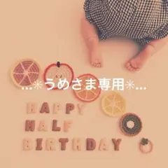 ✳︎うめさま専用✳︎フルーツモチーフ