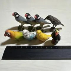 鳥のフィギュア8体セット