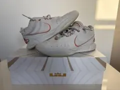NIKE LEBRON TR1 ナイキ レブロン 新品タグ付き 27.5㎝ 白金 - メルカリ