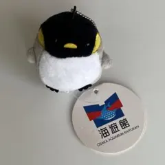 海遊館　ペンギン　マスコット　ぬいぐるみ　キーホルダーのサムネイル