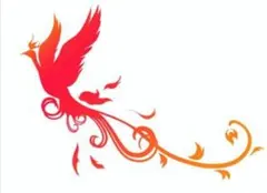 きょうか様専用