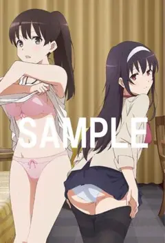 冴えない彼女の育てかた Blu-ray DVD ソフマップ 特典 タペストリー
