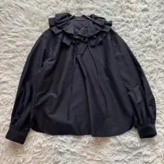 24SS✨完売品 ルミエールモールスキン ラッフルカラーブラウス 36のサムネイル