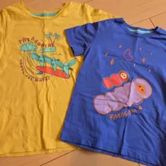 PATAGONIA Tシャツ 2枚セット キッズ パタゴニア 5T 3T