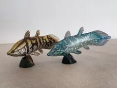 海洋堂チョコラザウルス　アクセルロディクティス色違いセット