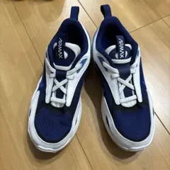 Nike Air Max 21.5cm スニーカー