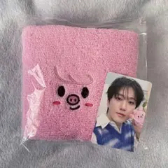 Straykids スキズ ペンミ チャンビン 入場特典 トレカ タオル 4/5