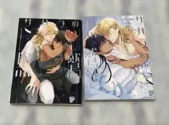 サハラの黒鷲2巻セット