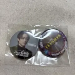 TETSUYA EXILE 2026 缶バッジ