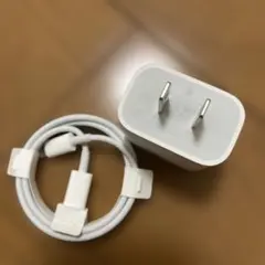 Apple純正iPad付属品ACアダプタとケーブルのセット