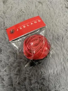 ‼️値下げ期間中‼️⭕️即購入可能⭕️【会場限定】★今市隆二ローズシュシュ★