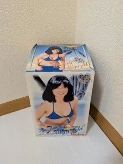 宮崎美子 お宝デビュー 20th anniversary メモリアルフィギュア - メルカリ
