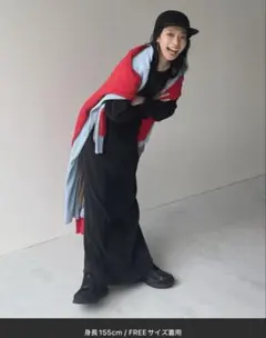 デイリーデイリースーパーストレッチクルーネックプリーツワンピース　FREEサイズ