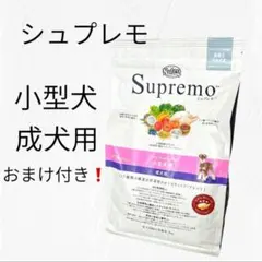 Item thumbnail for item b406cd25-9e44-41b4-848a-7b9edc4cfa10