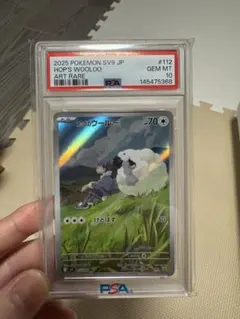 홉 울루 AR PSA10