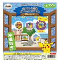 ポケモンセンター フクオカ限定 ピンズ ピンバッジ 福岡 フクオカ