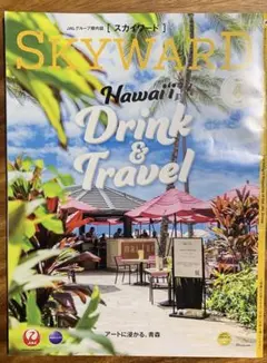 JALグループ機内誌　スカイワード2024年6月号