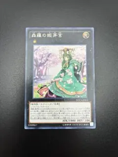 2026年最新】カード種別：モンスターカード 遊戯王OCG デュエル