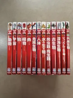 Item thumbnail for item bef5afa6-48d4-4d23-bdc6-ab46c2ff8776