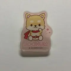 JOCHUM まめちぃ トレーディングアクリルクリップ