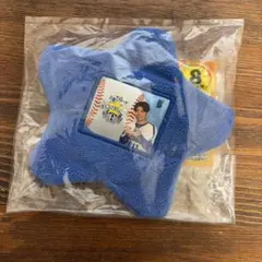 【美品】横浜DeNAベイスターズ 東克樹選手 星型カイロポーチ