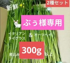 ぶぅ様専用