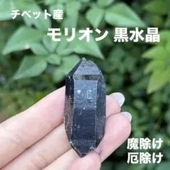 モリオン 黒水晶 天然無処理 原石 MY1008