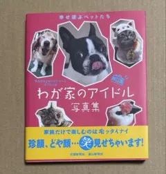 わが家のアイドル写真集 ペット