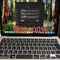 Apple MacBook Air M1 8GB 256GB 13.3インチ 白