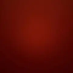 adidas フード付き ブラックナイロンジャケット