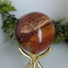 ペトリファイドウッド 珪化木 原石 天然石 パワーストーン 1.7kg